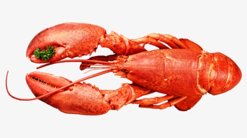 American Food,crab,botan Shrimp,shanghai Food,cuisine,spiny - American Lobster, HD Png Download, Free Download