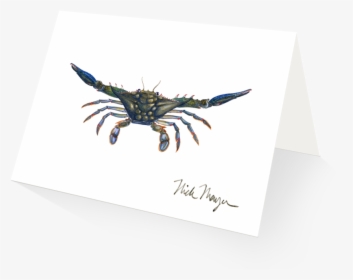 Blue Crab, Claws Out - Crab, HD Png Download, Free Download