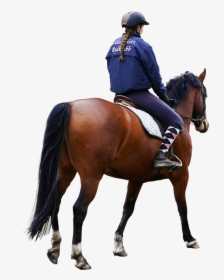 Horse Png Image - Riding Horse Png, Transparent Png, Free Download