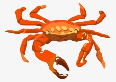 Christmas Island Red Crab - Crab Transparent Background, HD Png Download, Free Download