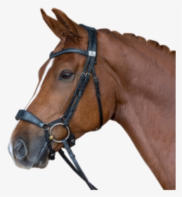 Transparent Horse Saddle Png - Fairfax Drop Noseband Bridle, Png Download, Free Download