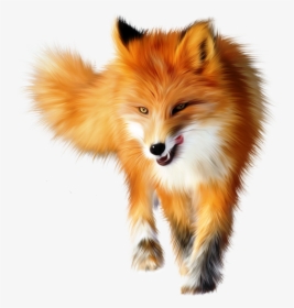 Cute Fox Transparent Background, HD Png Download, Free Download
