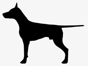 Pet Silhouettes No Background, HD Png Download, Free Download
