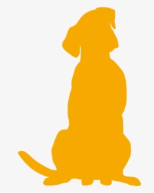 Empties For Paws, HD Png Download, Free Download