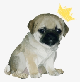 Pug Png Picture - Dog, Transparent Png, Free Download