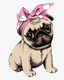 #stikers #pug #png #perro #dog - Puppy Cute Wallpaper Home Screen Dog, Transparent Png, Free Download