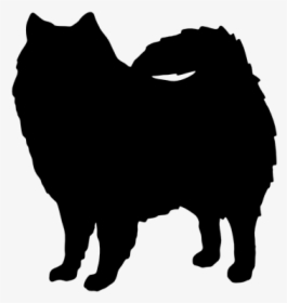 American Eskimo Dog Silhouette, HD Png Download, Free Download