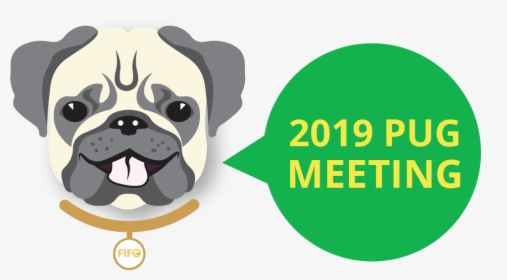 Pug - Best Of Luck For Neet 2019, HD Png Download, Free Download
