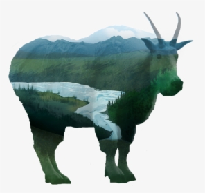 Mountain Goat, HD Png Download, Free Download