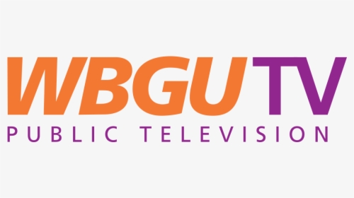 Wbgu Color Logo Luursys - Pbs Kids Wbgu, HD Png Download, Free Download