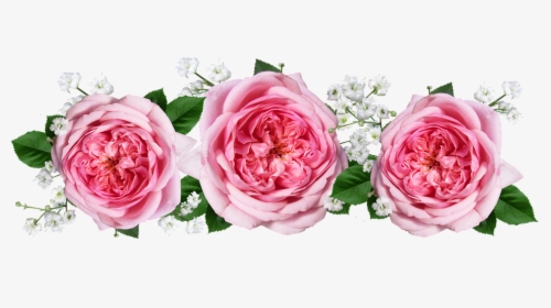 Rosas, Flores, Acuerdo - Arranjo De Flores Rosa Png, Transparent Png, Free Download