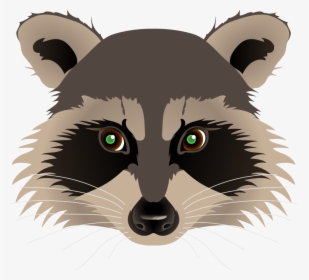 Transparent Raccoon Clipart - Raccoon Face No Background, HD Png Download, Free Download