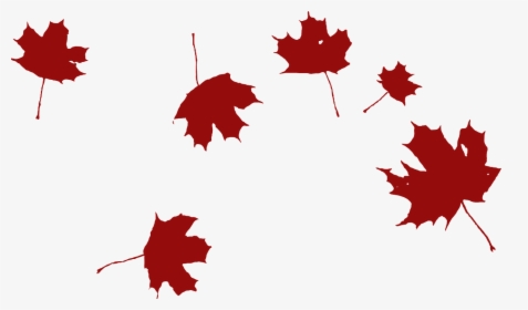 Maple Falling Wind Red Leaves Png Image - Clipart Autumn Leaves Black And White, Transparent Png, Free Download