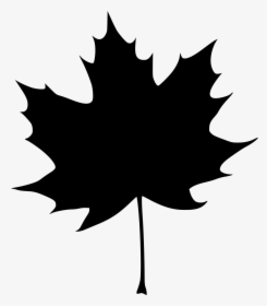 Transparent Maple Leaves Png - Maple Leaf Silhouette, Png Download, Free Download