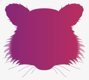Raccoon Face Png Hd Image - Illustration, Transparent Png, Free Download