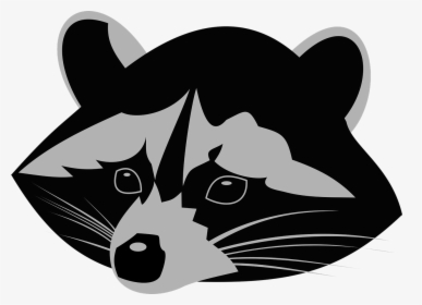 Racoon, Coon, Raccoon, Animal, Snout - Racoon Png, Transparent Png, Free Download