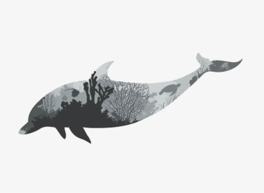 Vector Graphics Wall Decal Image Dolphin Illustration - Black And White Deers Paintings, HD Png Download, Free Download