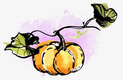 Watercolor Pumpkin Clipart - Pumpkin Fall Watercolor Clipart, HD Png Download, Free Download