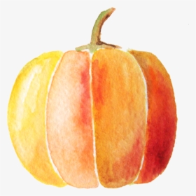 Transparent Watercolor Pumpkin Clipart - Water Color Pumpkin Png, Png Download, Free Download