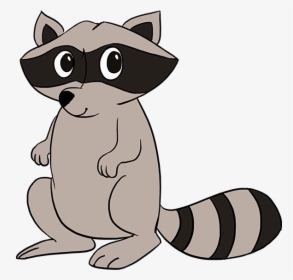 Clip Art Raccoon Face Drawing - Step By Step Raccoon Easy Drawing, HD Png Download, Free Download