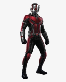 Ant Man And The Wasp Ant Man Png, Transparent Png, Free Download