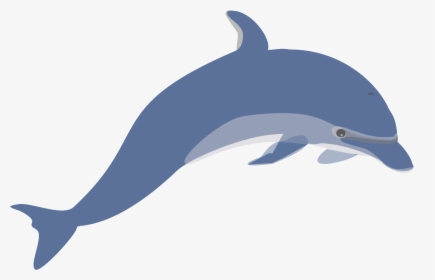 28 Collection Of Dolphin Clipart No Background - Transparent Background Dolphin Clip Art, HD Png Download, Free Download
