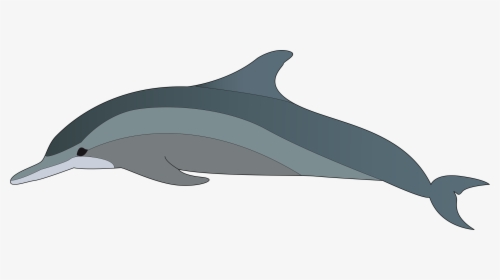 Dolphin Clipart Dolphin Clip Art 3 Car Pictures - Dolphin Clipart, HD Png Download, Free Download