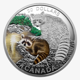 2016 Coin Collection Canada, HD Png Download, Free Download