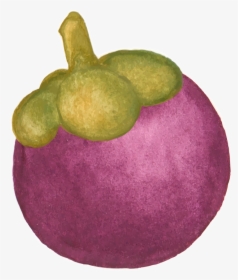 Mangosteen, Tropical Fruit, Purple Mangosteen - มังคุด Png, Transparent Png, Free Download