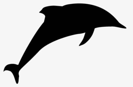 Animal Free Illustrations Icon - Common Dolphins, HD Png Download, Free Download