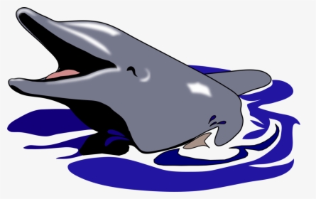 Cobalt Blue,tucuxi,wildlife - Dolphin Open Mouth Png, Transparent Png, Free Download