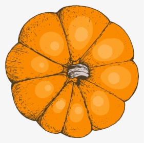 Transparent Watercolor Pumpkin Clipart - Circle, HD Png Download, Free Download