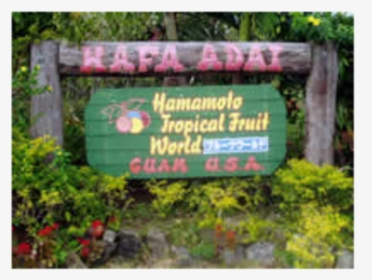 Hamamoto Tropical Fruit World Image - Sign, HD Png Download, Free Download