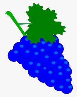 Grape, Vintage, Wine, Nature, Fruit, Foliage, Plant - Blue Grapes Clipart, HD Png Download, Free Download
