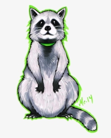 Transparent Raccoon Face Png - Raccoons Drawing, Png Download, Free Download