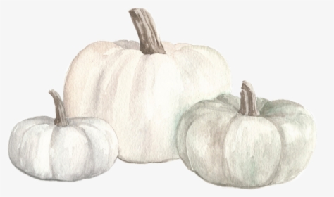 #watercolor #white #pumpkins #fall #autumn #png - Pumpkin, Transparent Png, Free Download