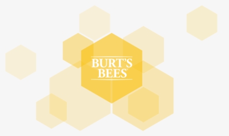 Burts-color - Graphic Design, HD Png Download, Free Download