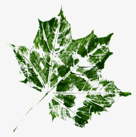 Transparent Leaves Texture, HD Png Download, Free Download