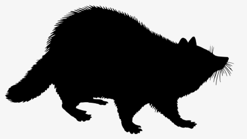Raccoon Silhouette Drawing Logo Cc0 - Silhouette Racoon Clip Art, HD Png Download, Free Download