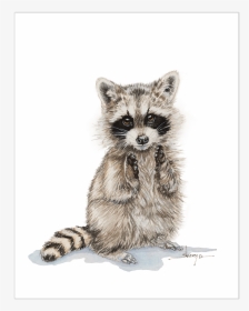 Clip Art Picture Of A Raccoon - Raccoon Drawing Baby, HD Png Download, Free Download