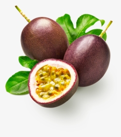Passionfruit Juice Supplier Of Fruit Juices Concentrates - Passion Fruit, HD Png Download, Free Download