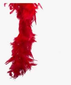 Feather-boa - Feather Boa Transparent, HD Png Download, Free Download