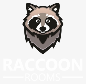 Raccoon, HD Png Download, Free Download