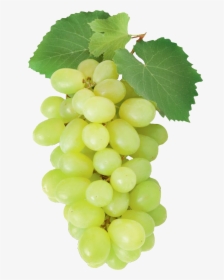 Victoria - Afus Ali Grape, HD Png Download, Free Download