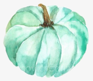 #pumpkin #teal #watercolor #halloween #thanksgiving - Pattypan Squash, HD Png Download, Free Download