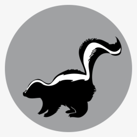 Raccoon Silhouette American Mink Duck Skunk - Skunk Silhouette Clip Art, HD Png Download, Free Download