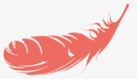 Red Feather Nobg - Illustration, HD Png Download, Free Download