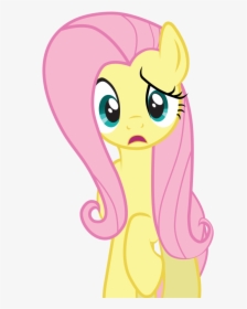 Fluttershy Vector Confused - Thank You For Your Attention Animation, HD Png Download, Free Download