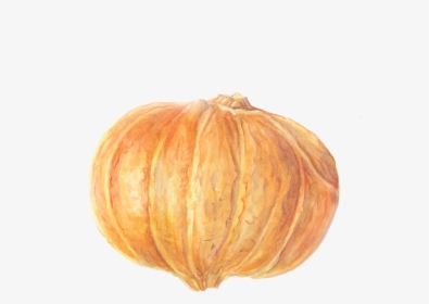 Pumpkin, HD Png Download, Free Download