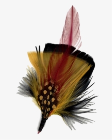Hat Feathers - Hatfeathers, HD Png Download, Free Download